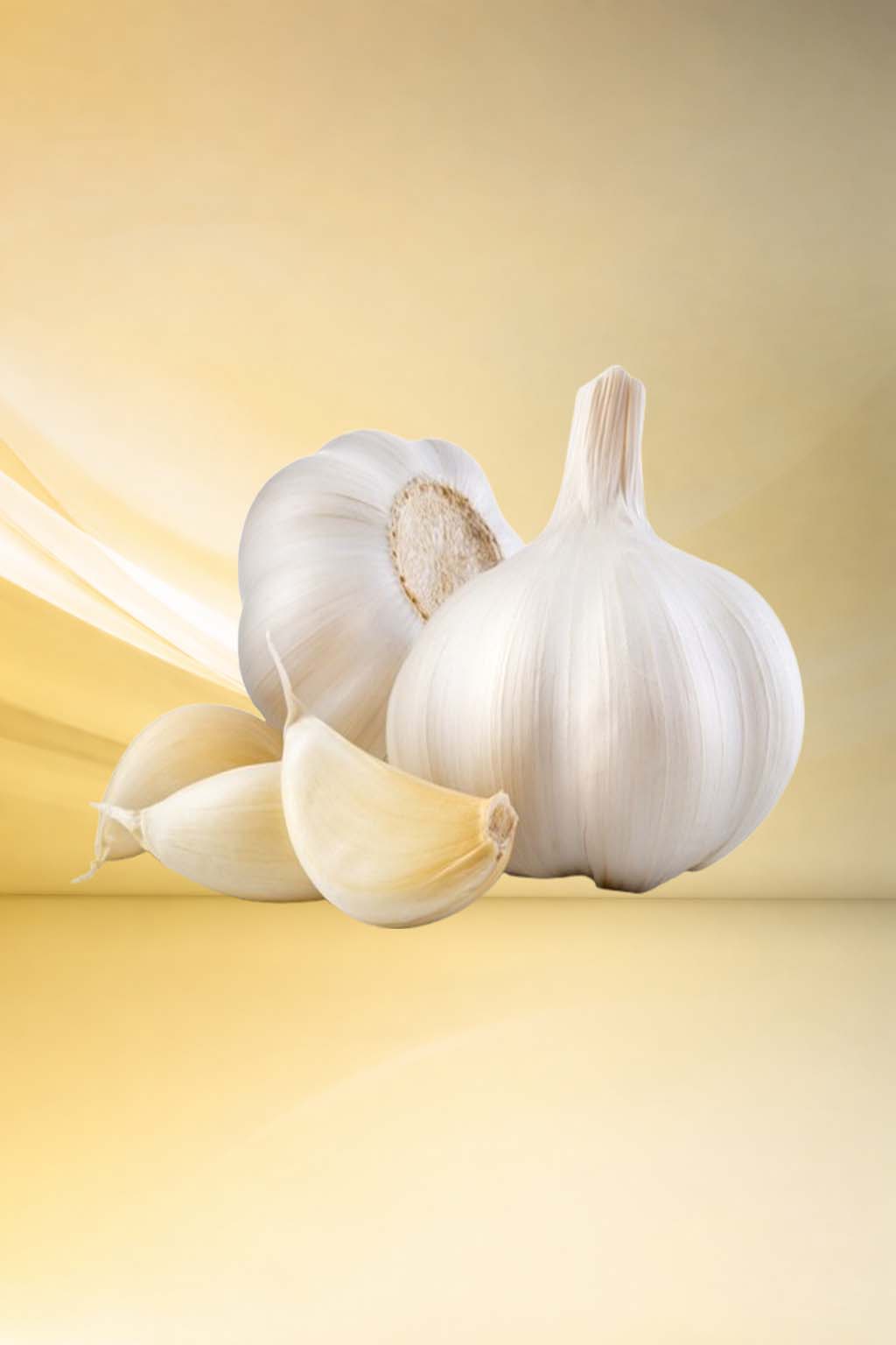 Garlic